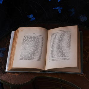 Antieke eerste editie van Rebecca of Sunnybrook Farm – Kate Douglas Wiggin, Houghton Mifflin, groene linnen band met afbeeldingen, stofomslag, gesigneerd 1903 afbeelding 8