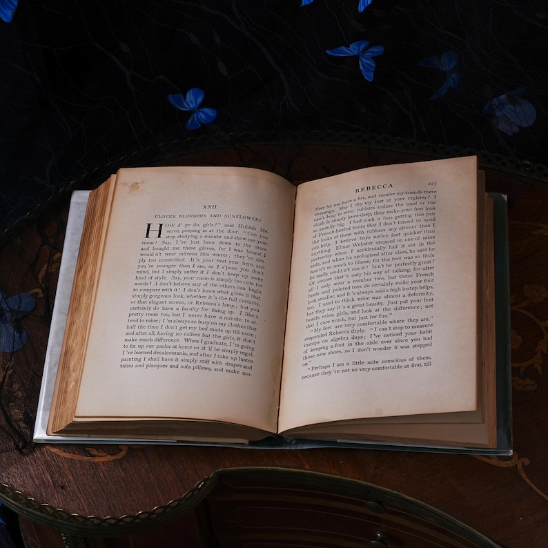Antieke eerste editie van Rebecca of Sunnybrook Farm – Kate Douglas Wiggin, Houghton Mifflin, groene linnen band met afbeeldingen, stofomslag, gesigneerd 1903 afbeelding 8