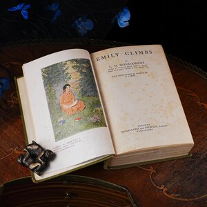 Puede incluir: Un libro de tapa dura antiguo abierto titulado Emily Climbs de L. M. Montgomery. La p&aacute;gina izquierda presenta una ilustraci&oacute;n en color de una persona con un vestido naranja sentada en una zona de hierba. La p&aacute;gina derecha contiene texto y manchas.