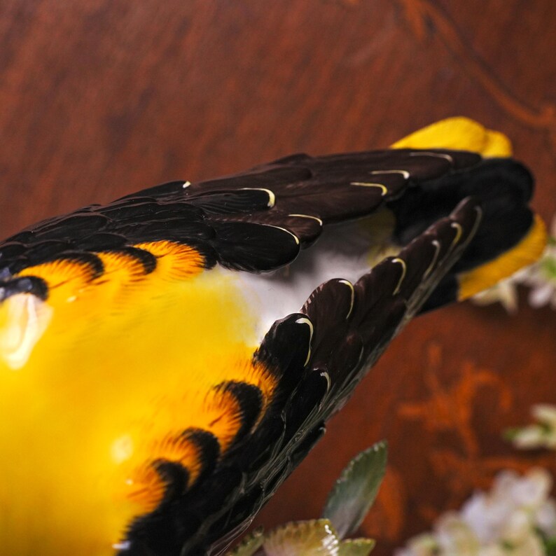 Antique Meissen Porcelain Golden Oriole – After J.J. Kändler, Model No. 820, First Quality Crossed Swords, "Germany" Export Mark, 1891–1918 image 10