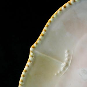 May include: Close-up of a white ceramic plate with a scalloped edge. The rim is decorated with a pattern of small, raised dots and a gold and green trim. The plate has a slightly textured surface and a pale pink hue.