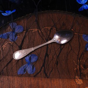 Puede incluir: Una cuchara de metal plateado con un grabado floral ornamentado en el mango y una cazoleta lisa y pulida. El dise&ntilde;o del mango incluye motivos detallados de hojas y flores, con un patr&oacute;n decorativo que se extiende hacia la cazoleta.