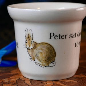 Op de afbeelding: Een witte keramieken plantenpot met een bruine konijnillustratie en zwarte tekst die luidt Peter sat down to rest. De pot heeft een brede, uitlopende rand en een gladde, glanzende afwerking, wat een klassiek ontwerp met een duidelijk lettertype toont.