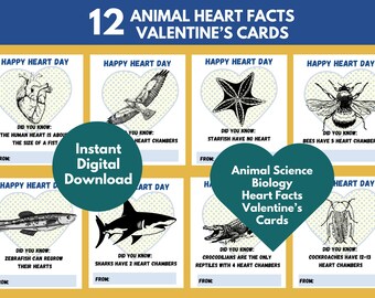 Animal Science Heart Anatomy Happy Valentines Day Card Biology Fact Insect Marine Reptile Frog Wildlife Note Vet Boy Biology Bug Shark Snake