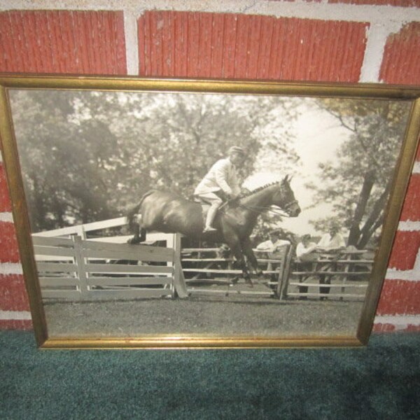 Vintage Framed Hunter Jumper Thoroughbred Horse Photograph