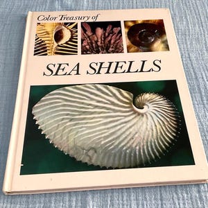May include: A hardcover book titled "Color Treasury of SEA SHELLS" with images of seashells. The cover features a large, white and tan nautilus shell against a dark green background, with smaller shell images above.