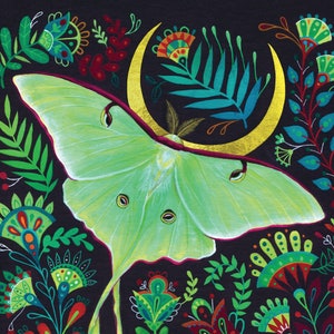 Luna Moth Art Print Framed or Unframed Wall Art Decor - Etsy