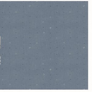 Può includere: Primo piano di un tessuto blu strutturato con piccoli accenti circolari di colore chiaro, distanziati uniformemente. Il tessuto presenta un sottile motivo intrecciato, creando una superficie visivamente interessante. Il colore generale è un blu tenue.