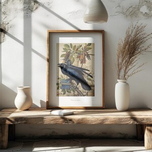 May include: A framed print featuring a detailed illustration of a raven perched on a branch with foliage. The artwork has a vintage aesthetic, with muted colors and a natural theme. The frame is a warm brown, and the print is displayed on a wooden bench.