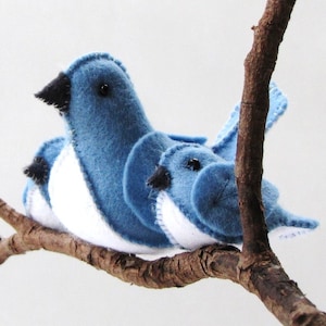 Könnte beinhalten: Zwei blaue Filzvögel sitzen auf einem Ast. Der größere Vogel ist links und hat einen weißen Bauch. Der kleinere Vogel ist rechts und schaut nach links. Beide Vögel haben schwarze Augen.