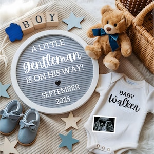 Boy Pregnancy Announcement Digital Minimalist Editable Baby Announcement Reveal Template Little Brother Social Media Design Teddy Bear