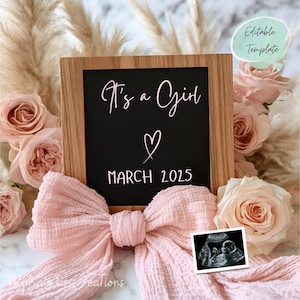 Editable Pink Pregnancy Announcement Digital Girl Boho Instagram Pregnancy Announcement Flower Baby Announcement Girl Baby Gender Reveal