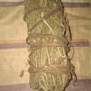Timitimini