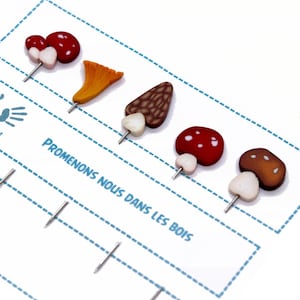 Könnte beinhalten: Fünf bunte, pilzförmige Stecknadeln mit weißen Stielen und silbernen Nadeln. Die Stecknadeln sind in einer Reihe auf einer weißen Karte mit dem Text "Promenons nous dans les bois" angeordnet.