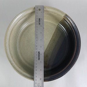 Pu&ograve; includere: Una ciotola rotonda in ceramica con un design bicolore. Il lato sinistro &egrave; beige chiaro, e il lato destro passa dal verde oliva al marrone scuro. Un righello mostra che la ciotola ha un diametro di circa 25 cm.