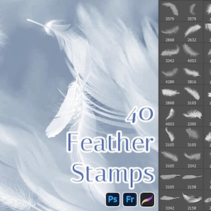 May include: A collection of 40 white feather stamps for use in Photoshop, Illustrator, and Procreate. The stamps are arranged in a grid on a dark gray background. The text "40 Feather Stamps" is displayed in white text on a blue background.