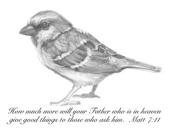 Blank Note Cards with Envelopes, Gift, Sparrow, Christian Theme, Set of 6 Cards, 5.5" x 4.38"