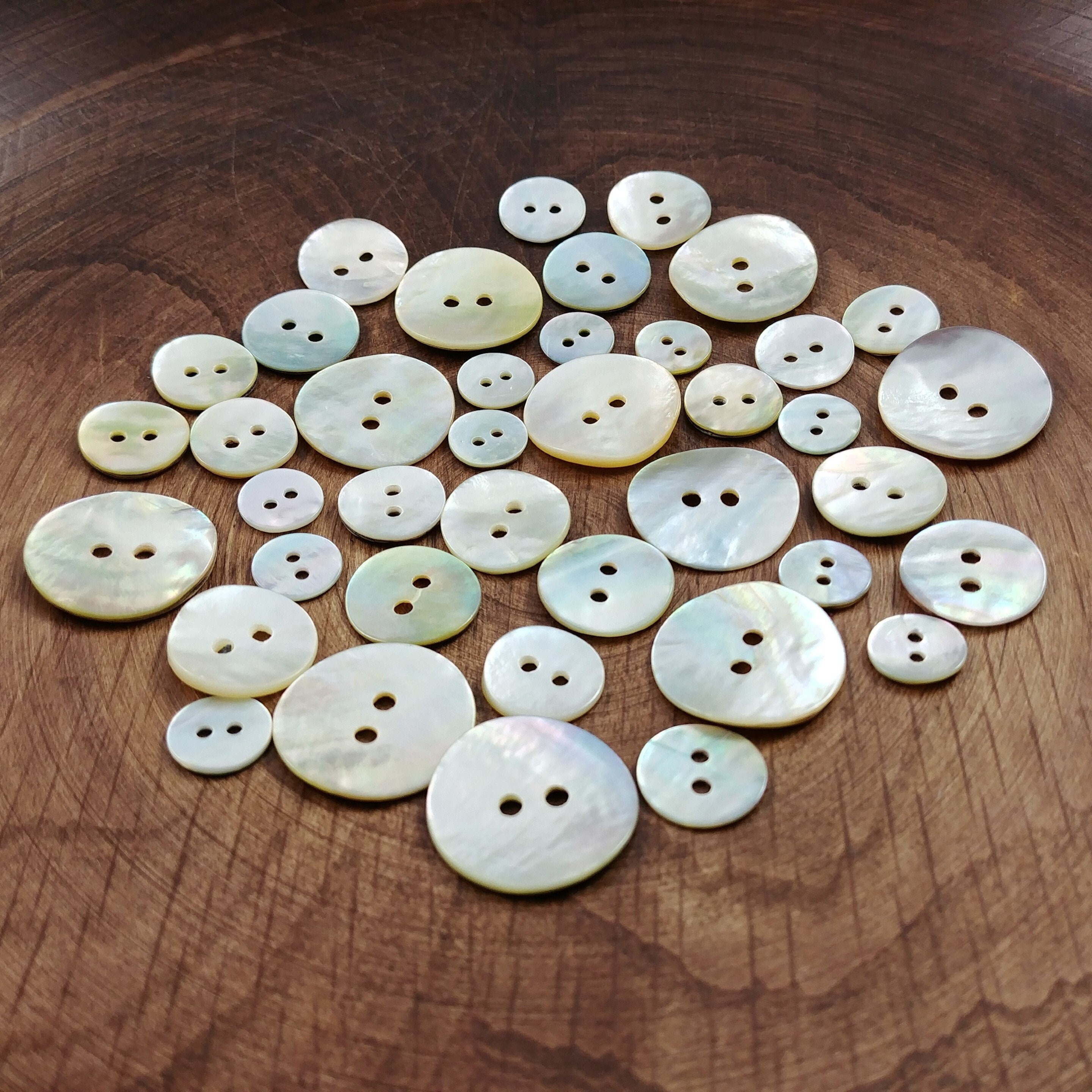 Natural Agoya Shell Buttons, 6 Sizes Available, Mother of Pearl Sewing ...