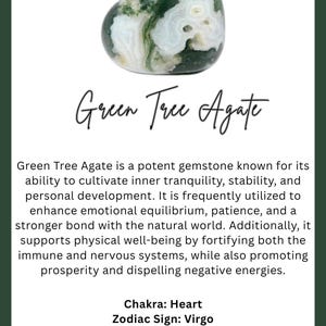 May include: Green Tree Agate gemstone with green and white patterns. The image includes the text "Green Tree Agate" and information about its properties, including its association with the heart chakra and the zodiac sign Virgo.
