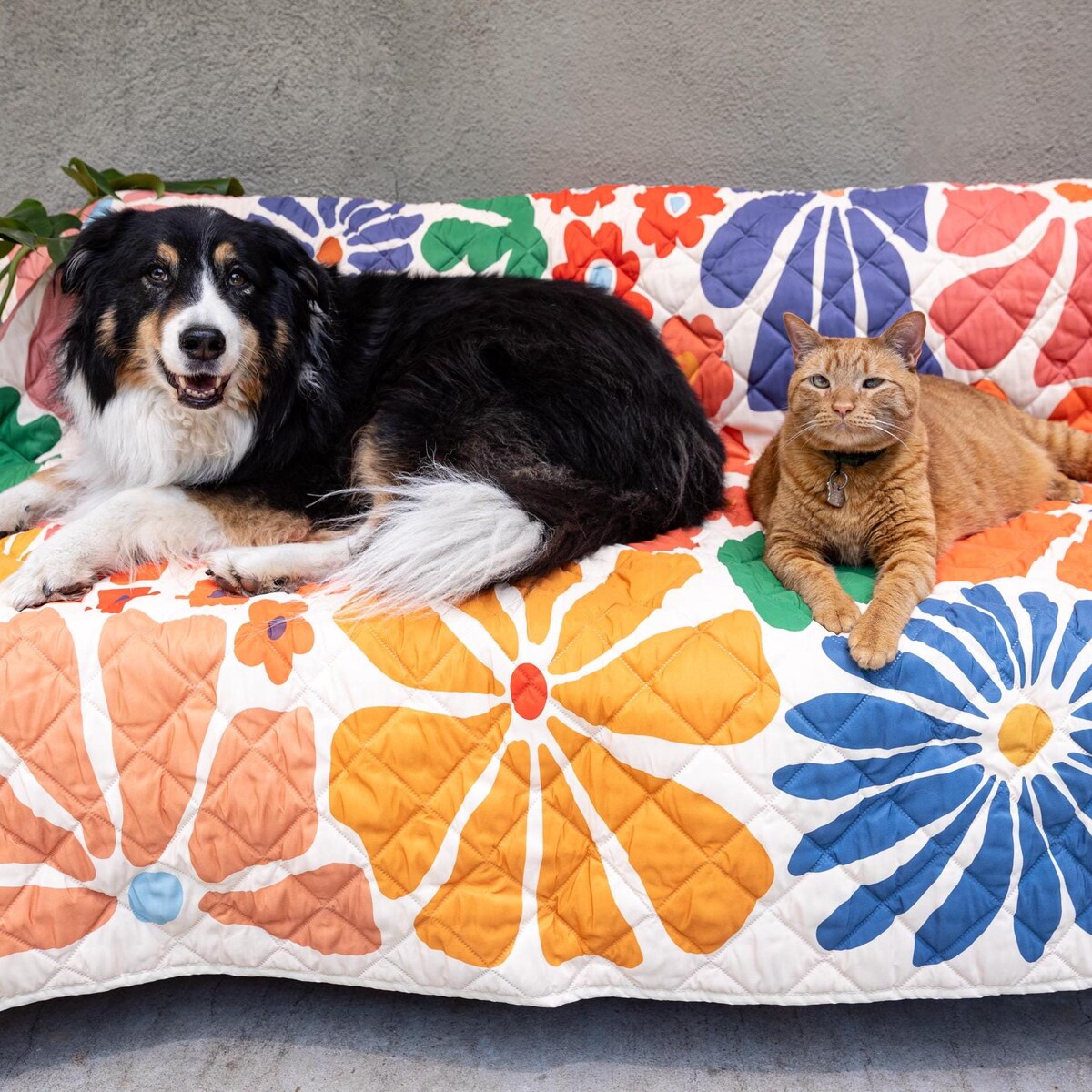 60" X 70" Waterproof Reversible Blanket, Large Couch Cover for Dogs and Pets - Picnics, Outdoor, Camping, Beach, Washable Protector Sheet - Etsy