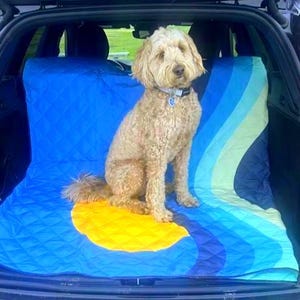 60&quot; x 70&quot; Waterproof Reversible Blanket,  Large Couch Cover for Dogs and Pets -  Picnics, Outdoor, Camping, Beach, Washable Protector Sheet