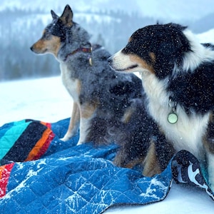 60&quot; x 70&quot; Waterproof Reversible Blanket,  Large Couch Cover for Dogs and Pets -  Picnics, Outdoor, Camping, Beach, Washable Protector Sheet