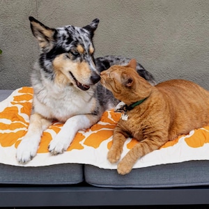 34&quot; x 29&quot; Waterproof Reversible Blanket, Small Couch Cover for Dogs and Pets  - Picnics, Outdoor, Camping, Beach, Washable Protector Sheet