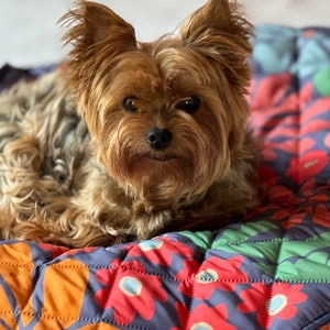 34&quot; x 29&quot; Waterproof Reversible Blanket, Small Couch Cover for Dogs and Pets  - Picnics, Outdoor, Camping, Beach, Washable Protector Sheet