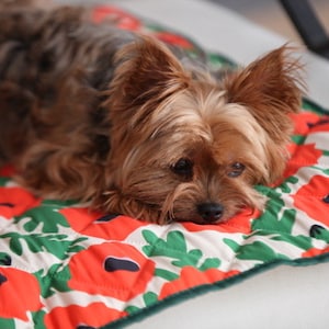 34&quot; x 29&quot; Waterproof Reversible Blanket, Small Couch Cover for Dogs and Pets  - Picnics, Outdoor, Camping, Beach, Washable Protector Sheet