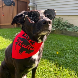 Buffalo Bills Dog Bandana (Bark Mafia)