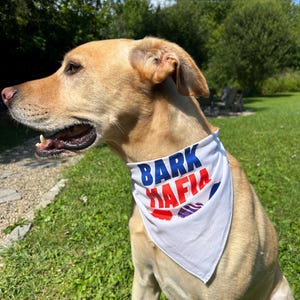 Buffalo Bills Dog Bandana (Bark Mafia)