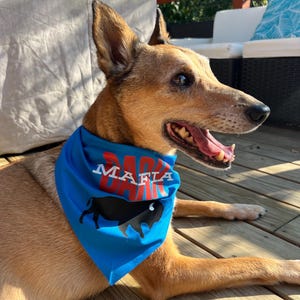 Buffalo Bills Dog Bandana (Bark Mafia)