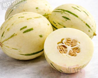 The Newest Green Germ #9 “绿宝石9号” Sweet Melon Asian 20 Seeds.at