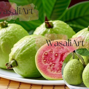 50 Seeds Tropical Strawberry Guava – Organic Pink Guava, Exotic Sweet Fruit, Beautiful Blooms, Easy Grow for Garden & Containers