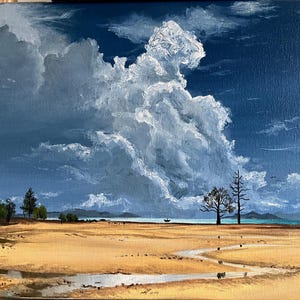 oil on 11”x14” canvas