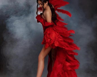 Könnte beinhalten: Eine Frau in einem roten Federkleid mit hohem Schlitz. Das Kleid hat einen langen Schlepp und ist aus weichem, fließendem Stoff gefertigt. Die Frau steht auf einem weißen Hintergrund.