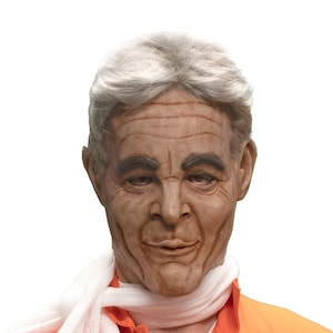 Jeffrey Epstein Halloween Costume - Etsy