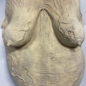 May include: A detailed, off-white sculpture of a torso, featuring prominent breasts and a defined abdomen. The surface has a textured appearance with visible veins and subtle color variations, suggesting a realistic depiction.
