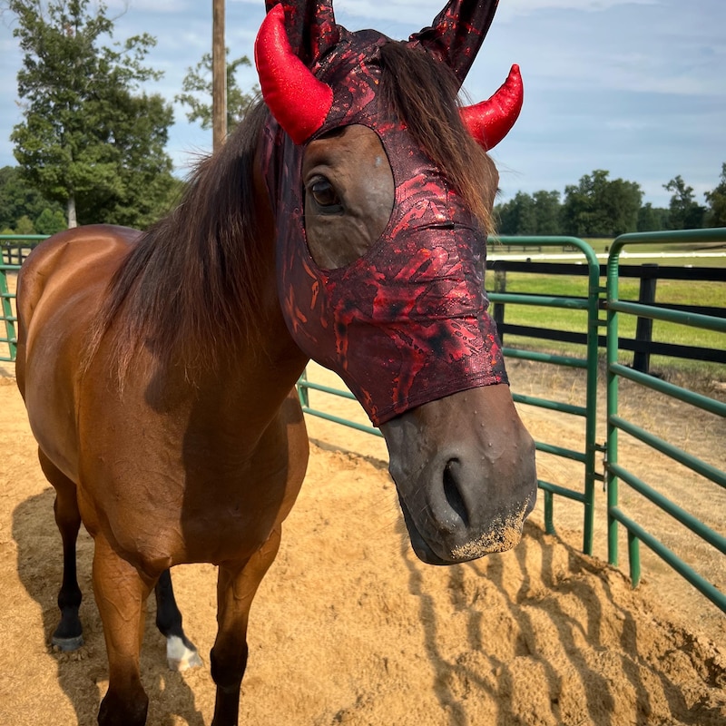 Riding Horse Muzzle - Etsy
