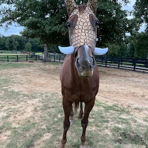 May include: A brown horse wearing a tan fly mask with a black scale pattern and two white, horizontal, tusk-like fabric attachments extending from the sides of the mask near the nose area, covering the ears and the upper portion of the face.
