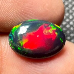 May include: A polished, oval-shaped black opal gemstone. The opal displays vibrant internal colors, including red, green, and yellow, set against a dark background. The gemstone is held between fingers, showcasing its size and luster.
