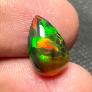 May include: A polished, teardrop-shaped opal gemstone. The opal displays a vibrant play-of-color, with flashes of green, orange, and red against a dark, translucent base. The stone is held between fingers, showcasing its size and shape.