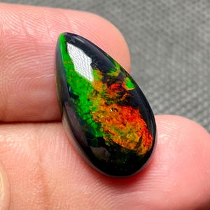 May include: A polished, teardrop-shaped black opal gemstone. The opal displays vibrant internal colors of green, orange, and red, with a glossy, reflective surface. The gemstone is held between fingers.