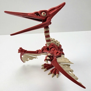 Skeleton Pteranodon - Realistic Dinosaur Flexi - Customizable 3D Printed Articulated Fidget Toy