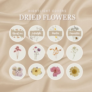 50 copertine di fiori secchi in evidenza / Erbari Copertine di Instagram in evidenza / Copertina di Instagram in evidenza / Copertina di Instagram in evidenza