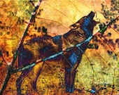 Howling Wolf, Photomontage Art, 8 x 10 Print