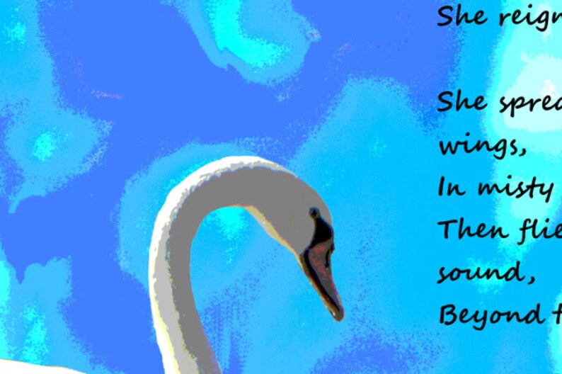 Swan Poetry Art Waterfowl Poem 8 x 10 Print Etsy