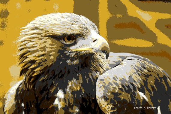 Golden Eagle Southwestern Art Bird Of Prey 8 X 10 Print