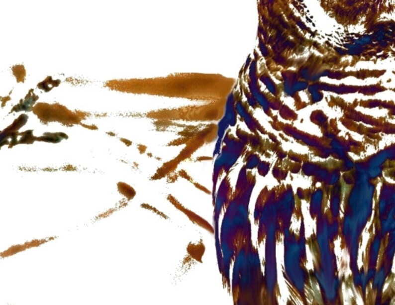 Barred Owl Art Native American Spirit Animal Twin Painting ...