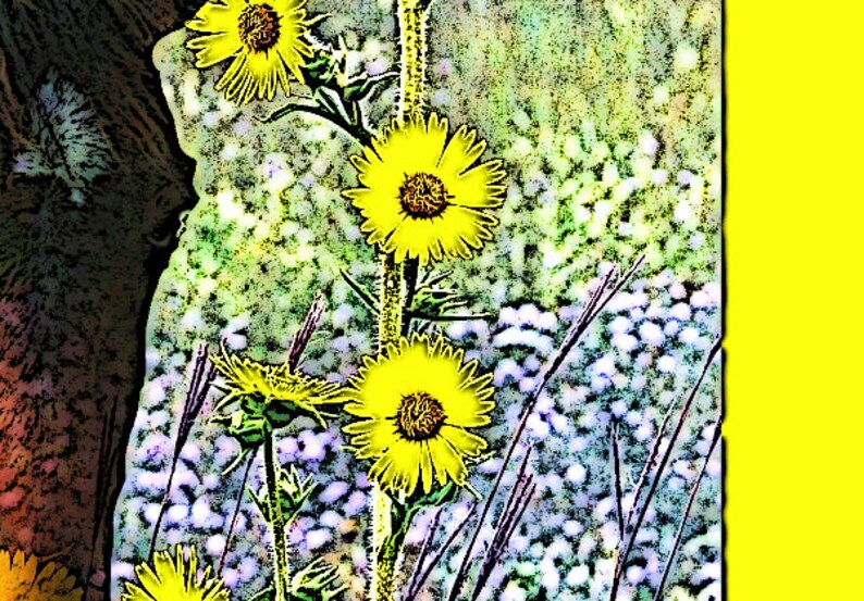 Download Horse Art Sunflowers Photomontage 8 x 10 Print | Etsy